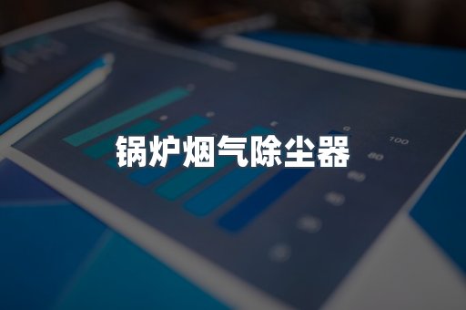 中央集尘系统